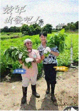 爱美剧 荒野料理人 综艺海报